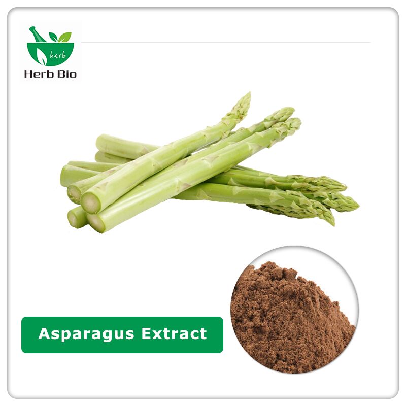 Asparagus Extract