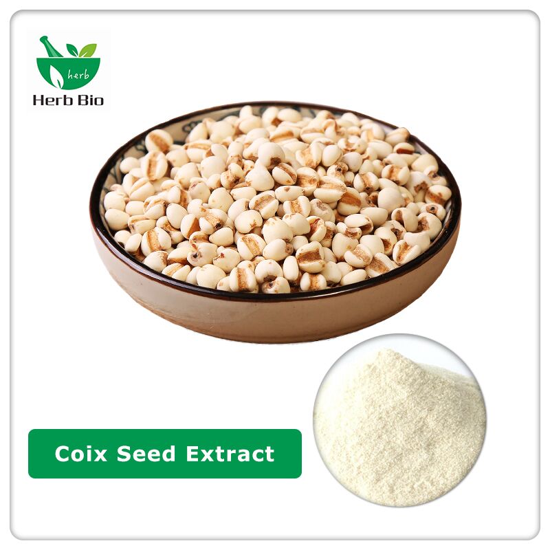 Coix Seed Extract